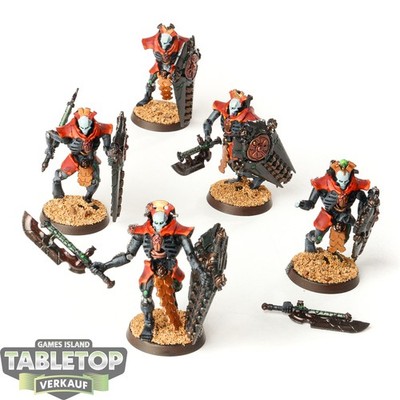 Necrons - 5x Lychguard - bemalt