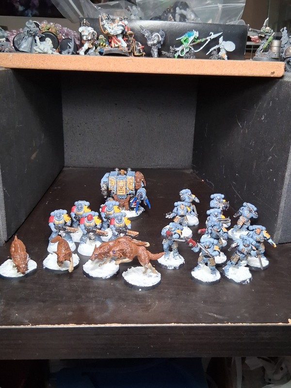 Space Wolves Lot Warhammer 40k Space Marines Bjorn The Fellhanded