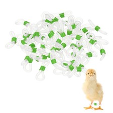 50-Pack Chick Leg Bands, Silicone Poultry Leg Bands for Chicks Ducks Green 