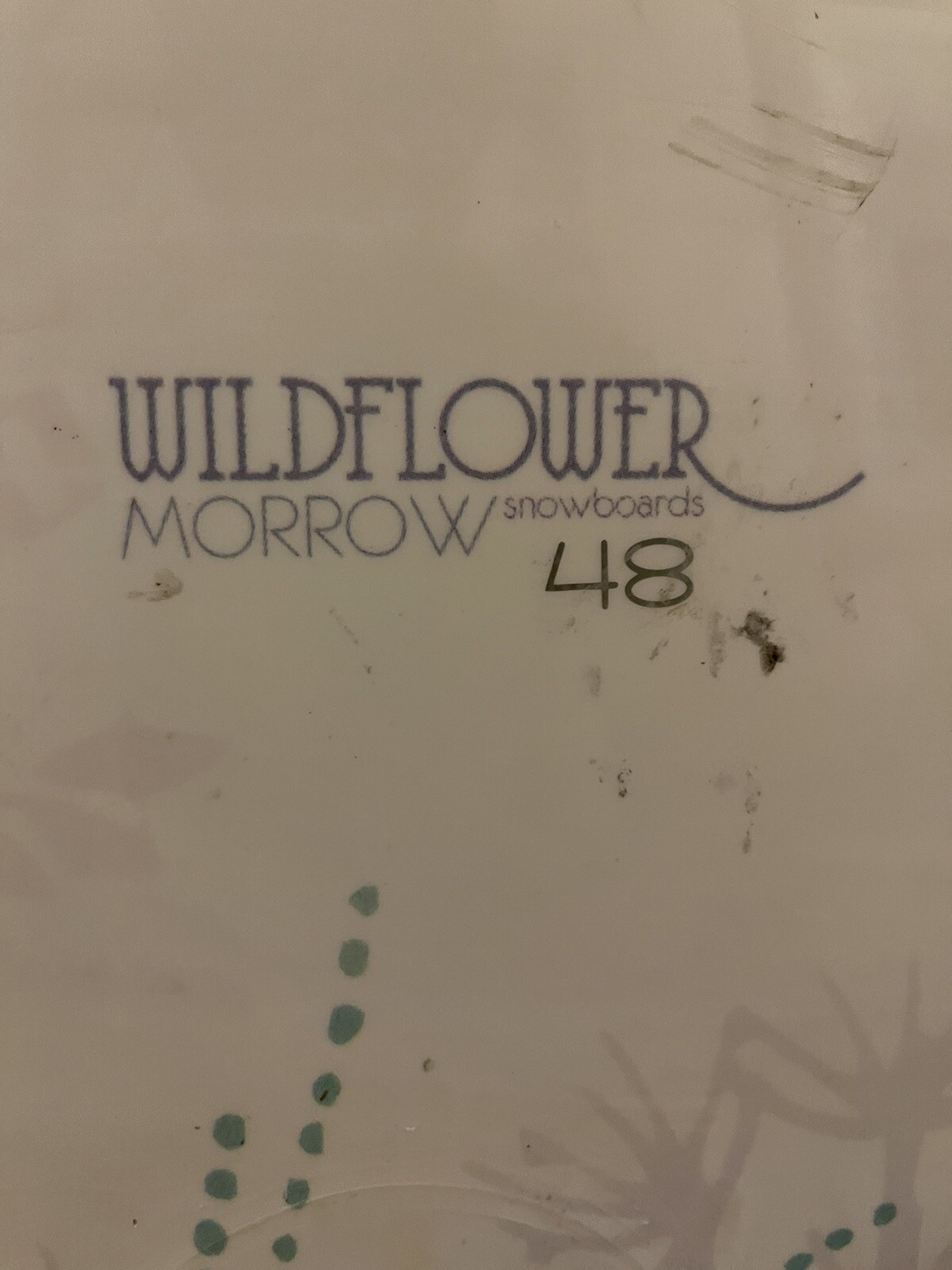 SNOWBOARD MORROW WILDFLOWER 48