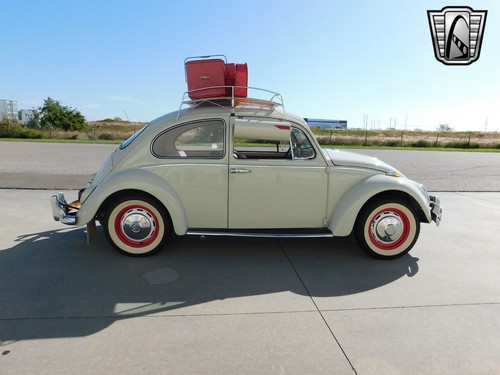 1966 Volkswagen Beetle - Classic - Picture 4 of 12