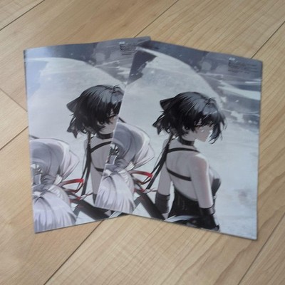 Wuthering Waves doppelseitiges B3 Poster x2
