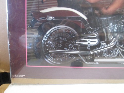 Póster vintage Varo-o-o-o-o-omm Harley Davidson 1987 Silvermoon 22105 - Imagen 6 de 7