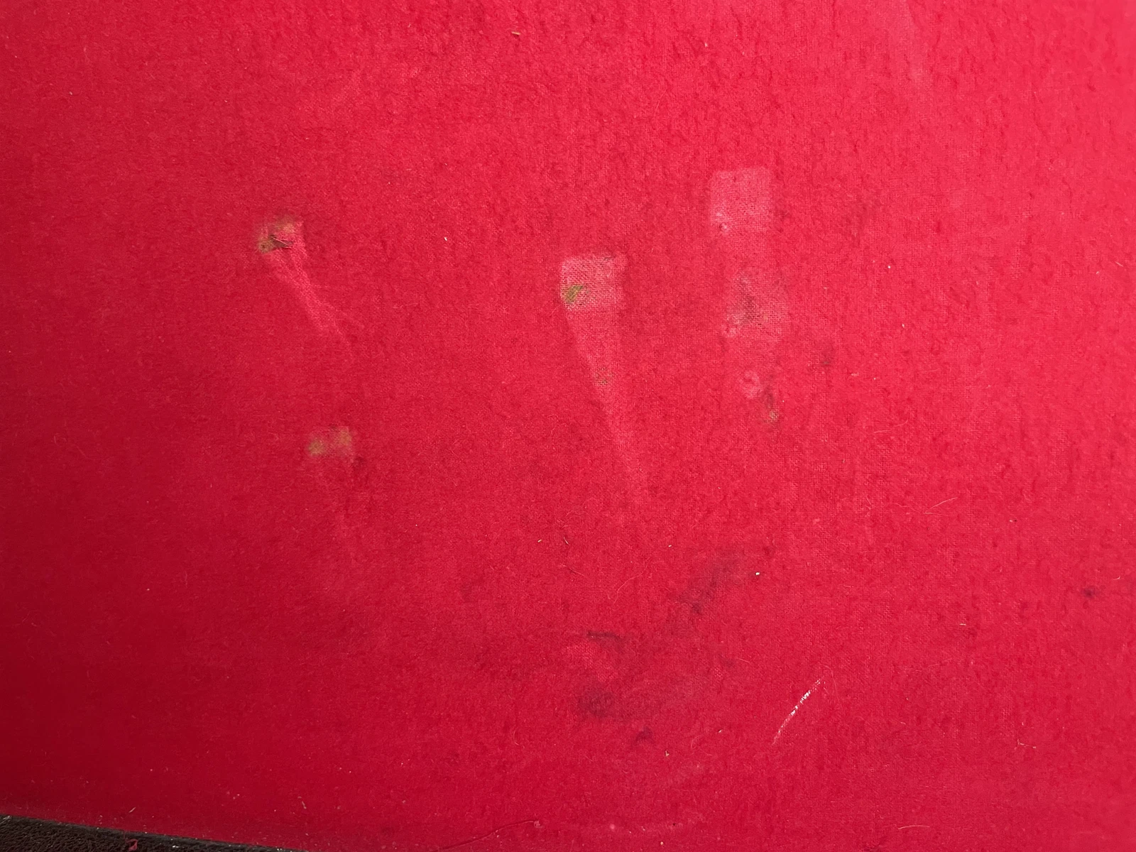 Picture 13 of 16