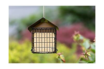 Mangeoire Oiseaux Sauvage CELESTE Cacahuète - Gris Anthracite
