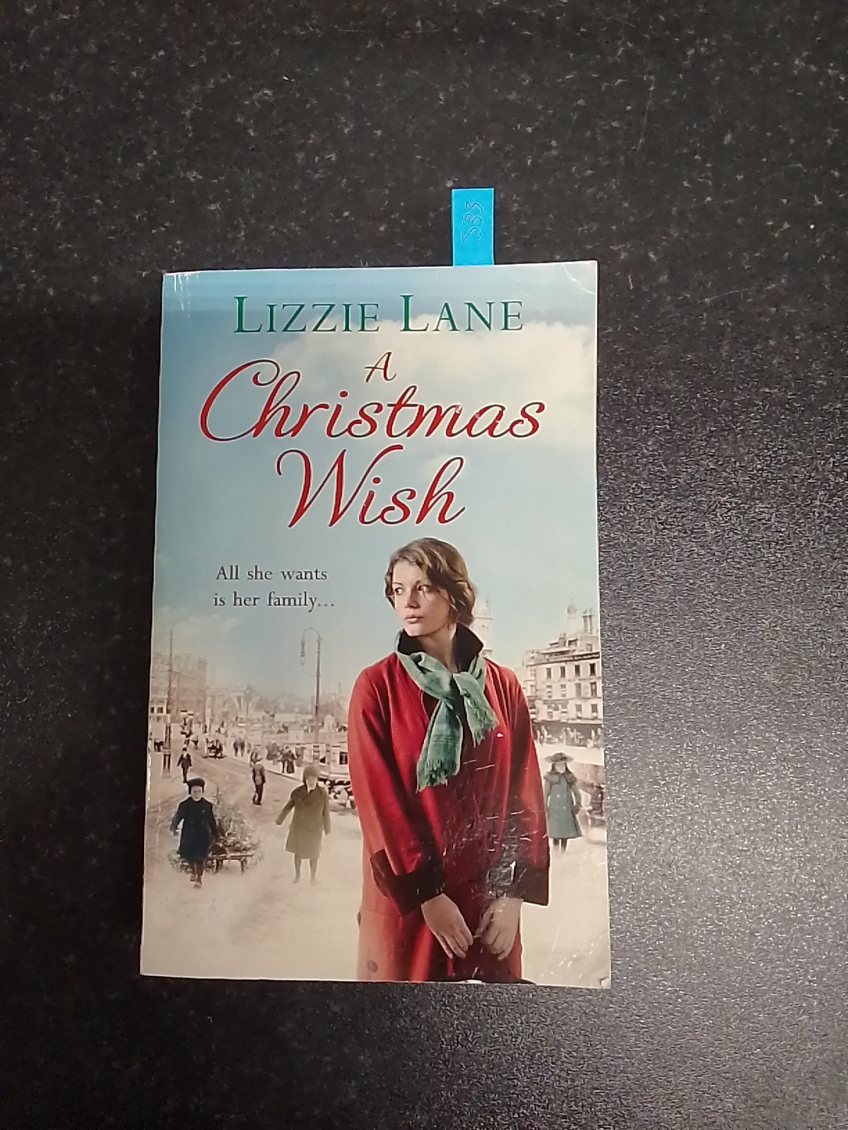 A CHRISTMAS WISH - LIZZIE LANE