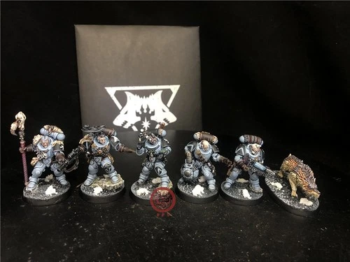 Warhammer 40K DPS painted Kill Team: Wolf Scouts SK8246
