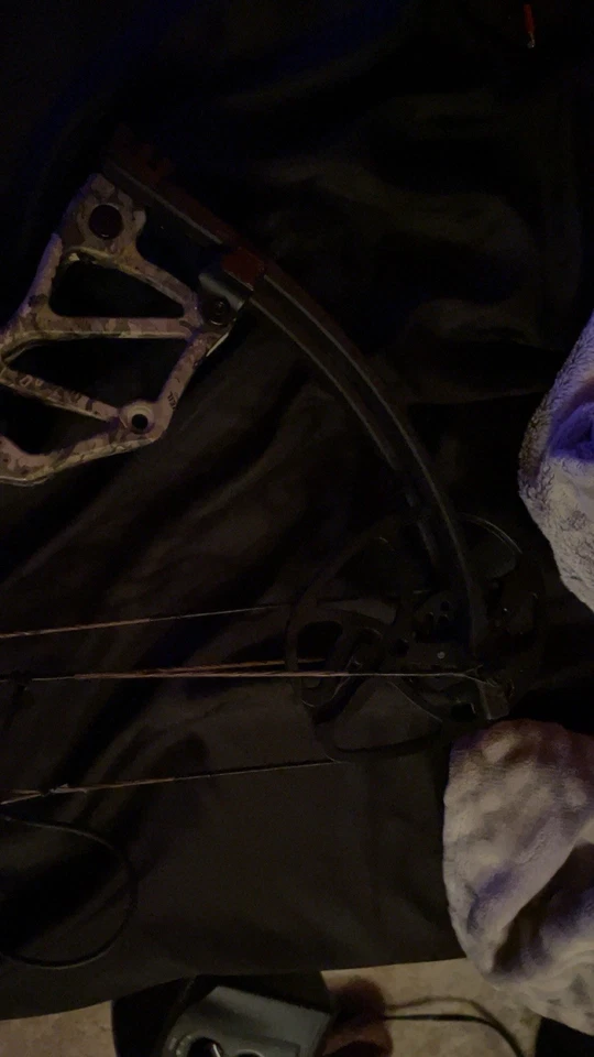 Bear Fusion estado quase perfeito 300 obo - Imagem 3 de 3