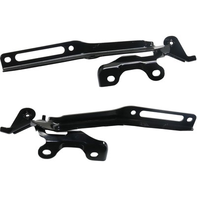 Set of 2 Hood Hinges  Driver & Passenger Side Left Right for Acura MDX Pair