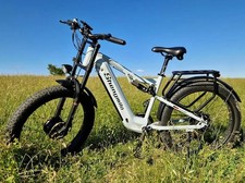 Dual Motor 2000W E-Mountainbike Herren Elektrofahrrad 48V 17.5Ah Akku …