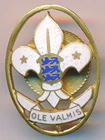 1950s Soviet Estonia Estonian Boy Scout In Exile Enamel Member Pin Badge SPORRON