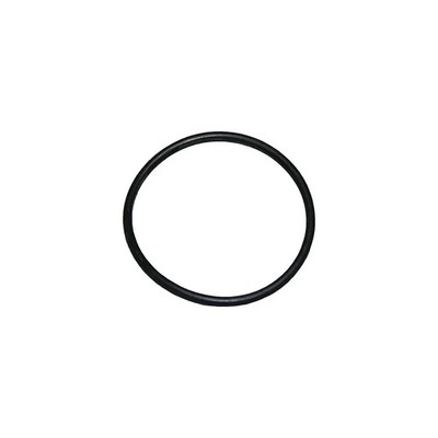 Buderus / BOSCH O-Ring 48,9x2,62mm, 7101596