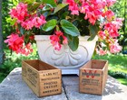 LOT OF 2 WOODEN CHEESE BOXES ARPEAKO 5# ROCHESTER, NY & WILSON'S 5# CHICAGO — photo 4