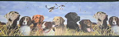 Duck Hunting Dogs Wallpaper Border Cabin Wall Decor Lodge HG542B Black Lab