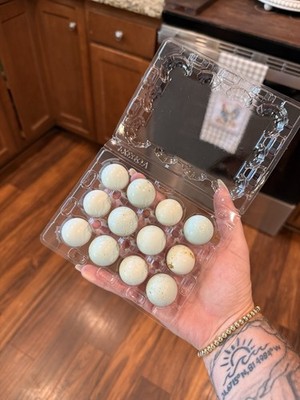 12 celadon hatching eggs