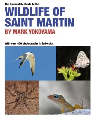 The Incomplete Guide to the Wildlife of Saint Martin - Yokoyama, Mark