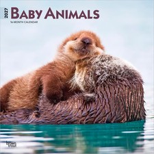 BrownTrout, Baby Animals 2027 Wall Calendar