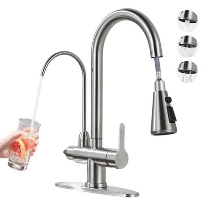 Kitchen Faucet with Water Filter Faucet, Brushed Nickel Stainless Steel Drink...