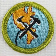 Geology Current Plastic Back Merit Badge [MB-457]