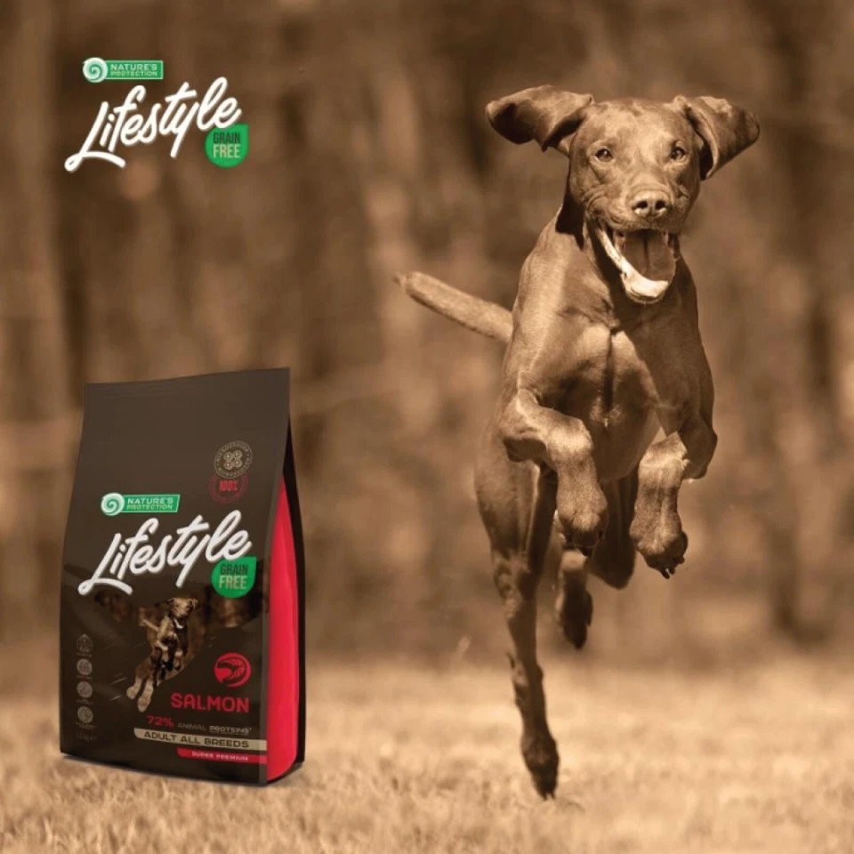 Premium LACHS und KARTOFFEL -getreidefrei -Trockenfutter für ausgewachsene-Hunde - Bild 4 von 4