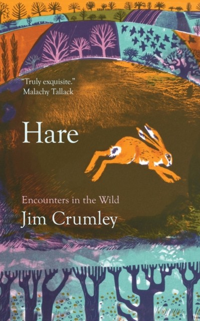 Hare - Image 5