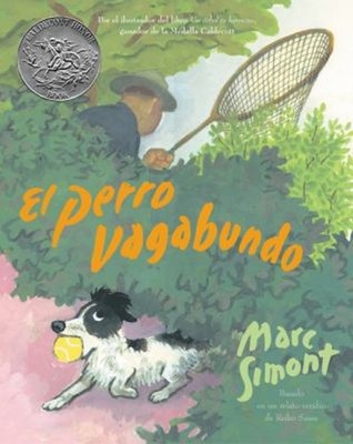 El Perro Vagabundo : The Stray Dog Spanish Edition, a Caldecott H
