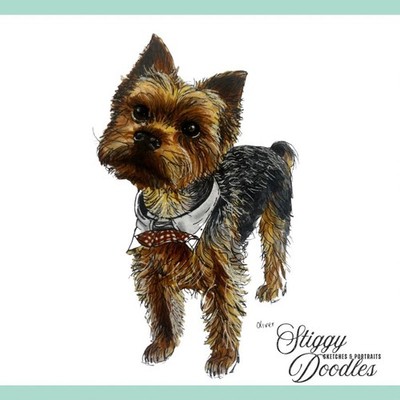 Custom Hand Drawn Pet Portrait Sketch A5 Art Gift Keepsake Drawing