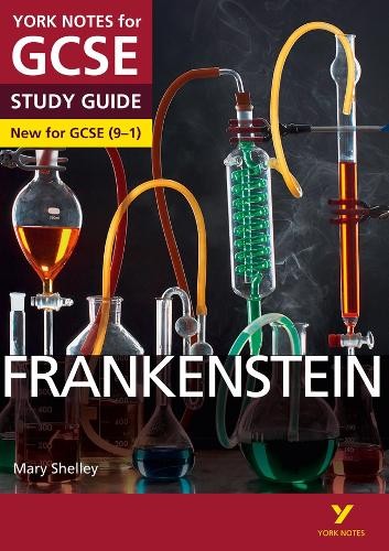 Mary Shelley Unisex Multicolor Frankenstein York Notes Gcse English Literature Study Guide - For - Image 6