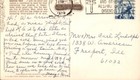 NICE VINTAGE PHOTO POSTCARD - BUNYAN TREE GROWING IN HAWAII — photo 2