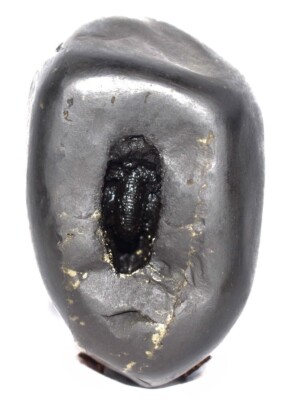 Sacred Adwaitya Golden Bhadra Chamunda Mahakali Shaligram - Gandaki River Nepal