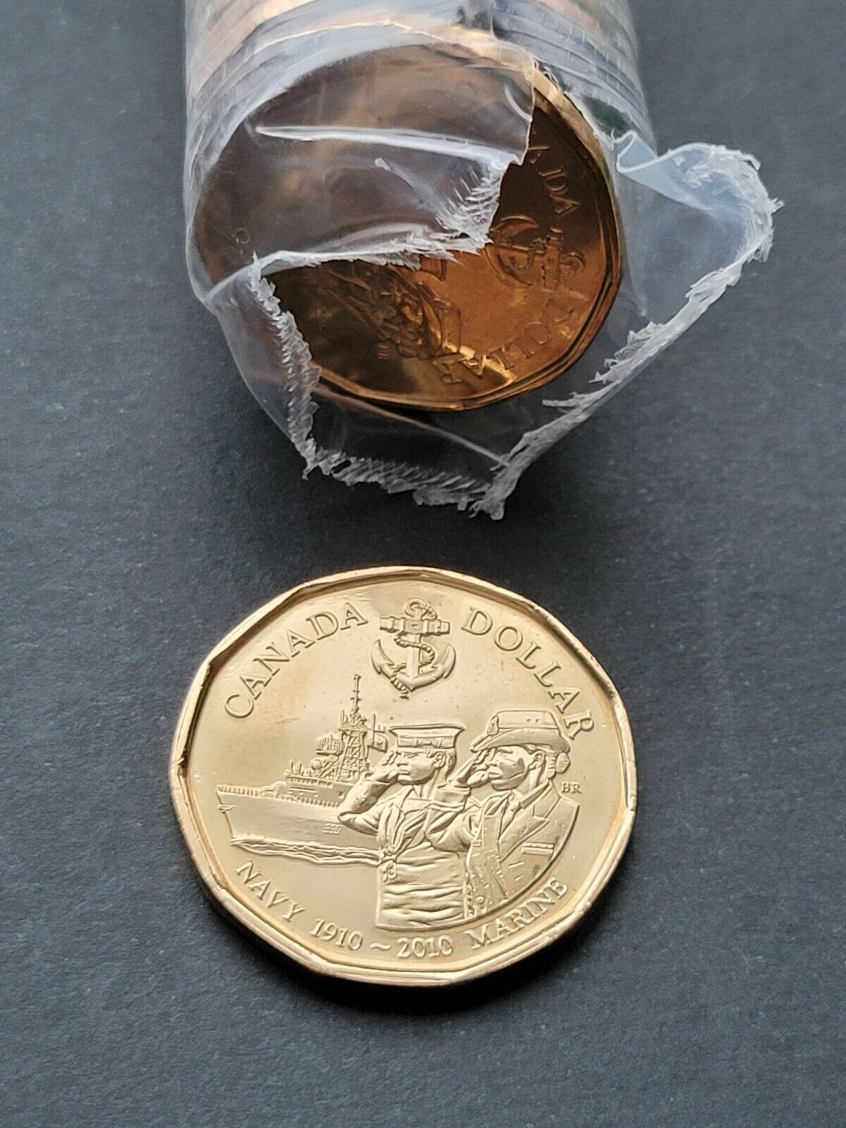 *** CANADA  LOONIE  2010 ***  NAVY  *** FROM  MINT  ROLL ***
