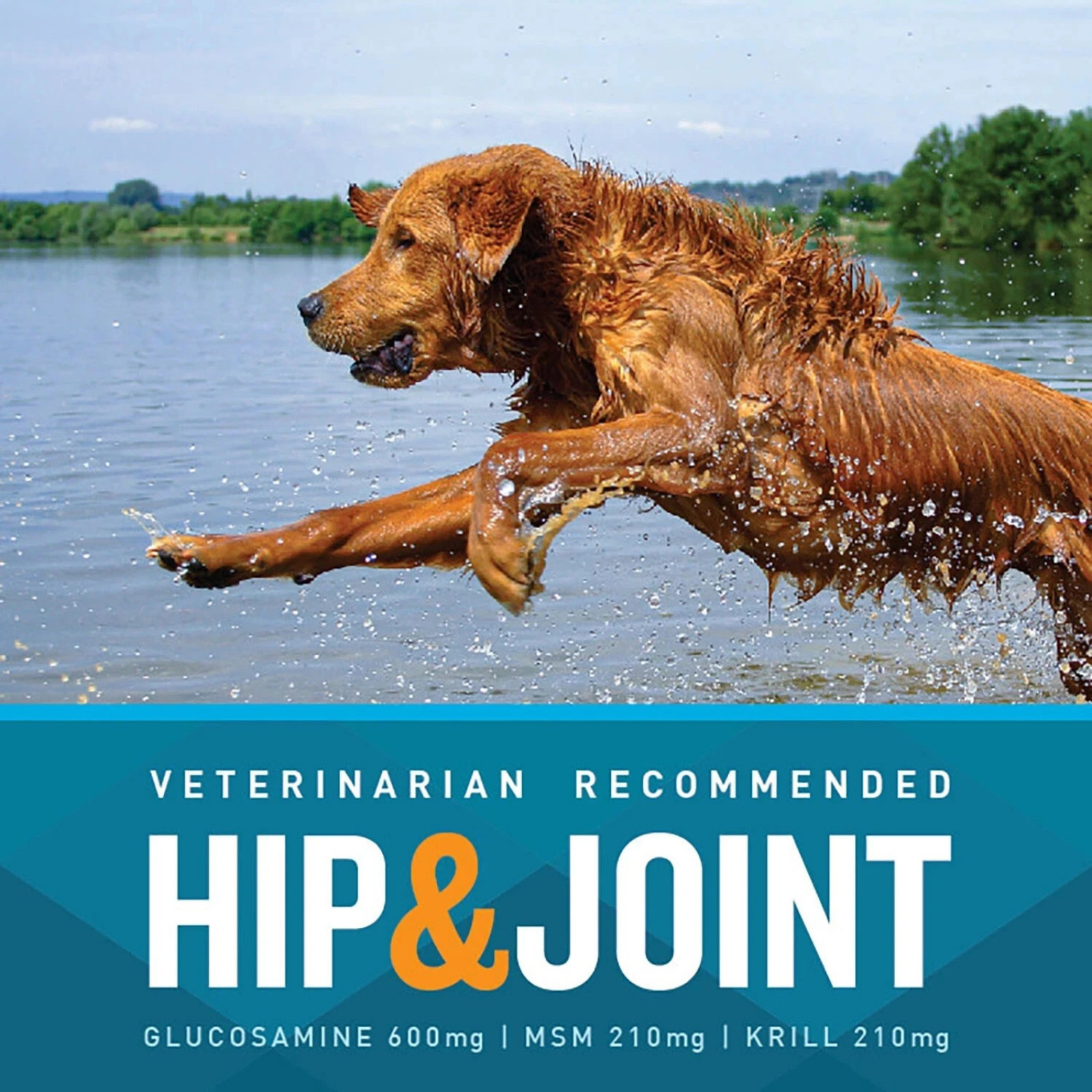 VETIQ Maximum Strength Hip & Joint Soft Dog Chews, Chicken Flavored, (180 ct.)