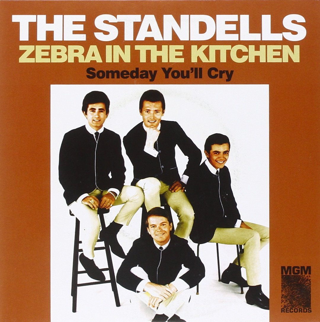 The Standells Zebra in the Kitchen / Someday You'll (Vinyl LP)