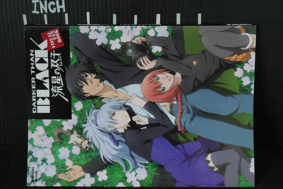 Darker than Black: Gemini of the Meteor (Ryuusei no Gemini) Visual