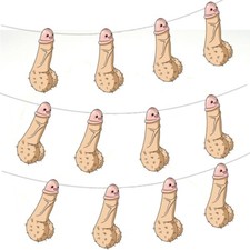 Funny Willy Penis Bunting Birthday Hen Night Party Stag Do Decorations 12pcs