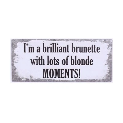 Vintage Blechschild - Lots of blonde Moments - lustiges  Wandschild 30 x 13 cm - Bild 1 von 3