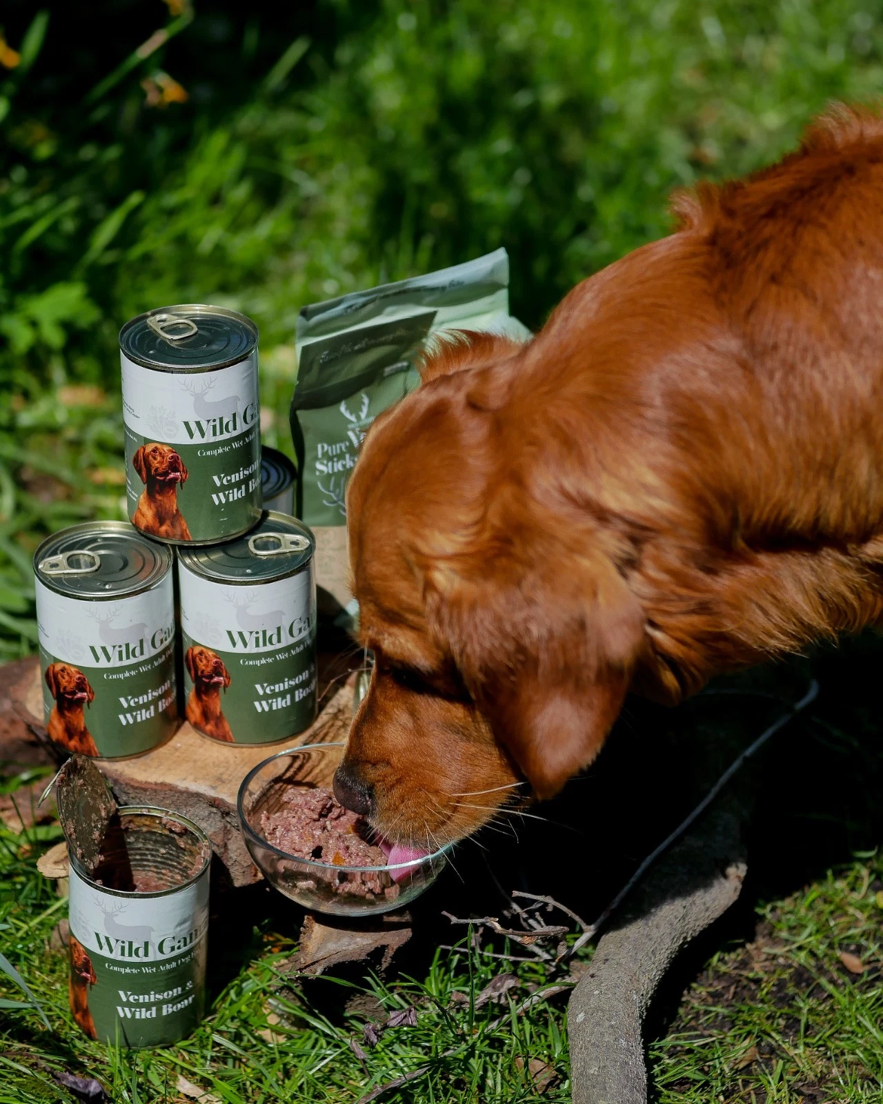 Venison & Wild Boar Wet Dog Food 6x400g | Grain Free Complete Dog Food