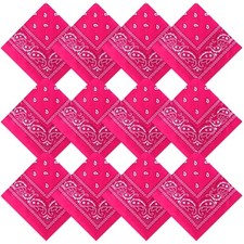 12 Pcs 22x22 Inch Large Paisley Cowboy Bandana Bulk Scarf Handkerchief for Men