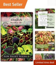 Rainbow Mix Coleus Seeds - High Germination Non-GMO Heritage Seeds 800 Count