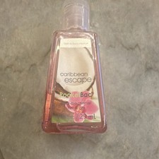 PocketBac Caribbean Escape Pink Antibacterial Hand Sanitizer Hand Gel 29 mL