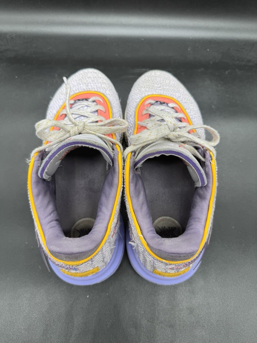 Nike LeBron XX 20 Violet Frost Metallic Gold DJ5423-500 Mens Size