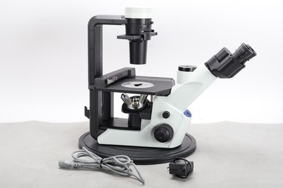 Olympus CKX53SF Inverted Microscope With N 20X/0.40, N 0X/0.25, and N 40X/0.55