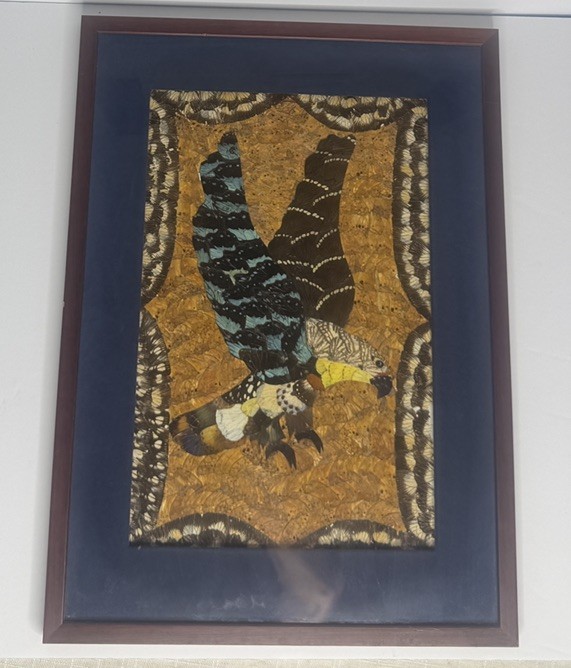 Vintage Real Butterfly Wing Collage Art Framed Mid Century South American 19x14