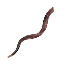 Full polished natual Judaica Kosher 32-34 Inch Yemenite Kudu Shofar horn Israel