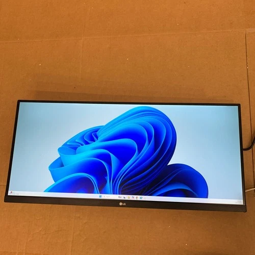 LG UltraWide 29Inch IPS FHD 1080p 75Hz 29WN600-W Monitor without Stand - READ