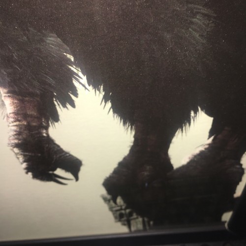 The Last Guardian Rare Press Kit Numbered Screen Print Framed - 第 3/10 張圖片