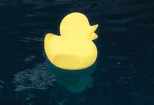 Swimline LED Ducky Light Color Changing Includes Rechargeable Remote Control