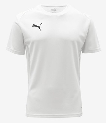 Puma Herren Team Goal Casual ASIA SP T-Shirts weiß Running Tee GYM Trikot 659...