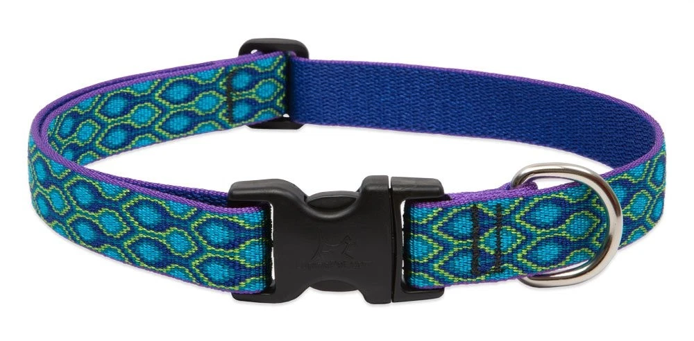 LupinePet Originals 1" Rain Song 12-20" Adjustable Collar for Medium and Larger