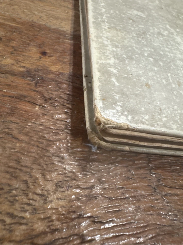 The Presbyterian Cookbook: First Presbyterian Church Columbia City Indiana 1900s - Image 4 of 4